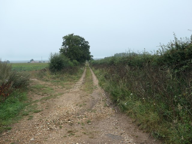 Nursery Lane, heading north to Deepdale Marsh