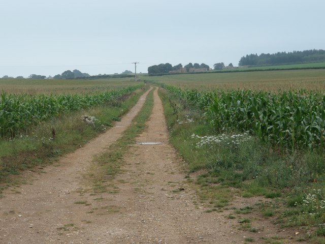 Track heading north-east to Norton Hall Farm