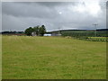 Grazing towards Foottie Birness