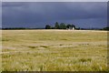 Departing storm, North Arnybogs