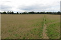 Path across the field to Croughton