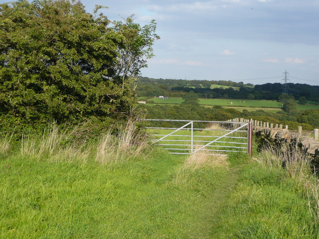 Gate and stile on FP 10/172/7 to Sun Wood, Shelf