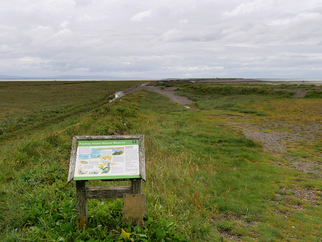 Foulney Island Nature Reserve © David Dixon :: Geograph Britain and Ireland