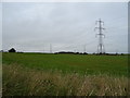 Grassland and power lines near Denend Croft