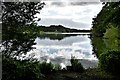 Sevenoaks Wildlife Reserve: The East Lake with East Sutton and Tower Hides in the background