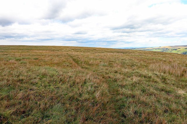 Faint trod of Carriers' Way on Mohope Moor