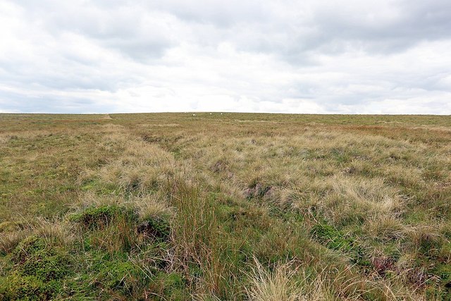 White Hill, Mohope Moor