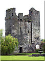 S6965 : Castles of Leinster: Black Castle, Leighlinbridge, Carlow (2) by Garry Dickinson