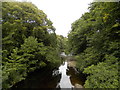 The River Nairn from Cantray Bridge