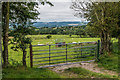 Gate with a view