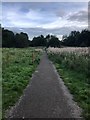 Bollin Valley Way, South of Prestbury