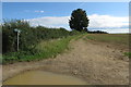 Bridleway towards Fritwell