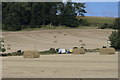 Fields near Carsebank