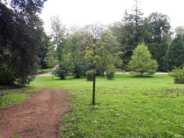 The Macmillan Way going through Westonbirt Arboretum