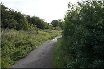 SK4430 : A footpath near the towpath by Malcolm Neal