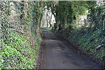 SU7430 : A quiet lane near Empshott by N Chadwick