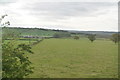 Pasture, Low Moor Farm