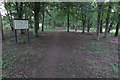 Path into Nancy Bowles Wood