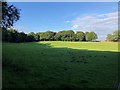 Farmland, Edge House Farm