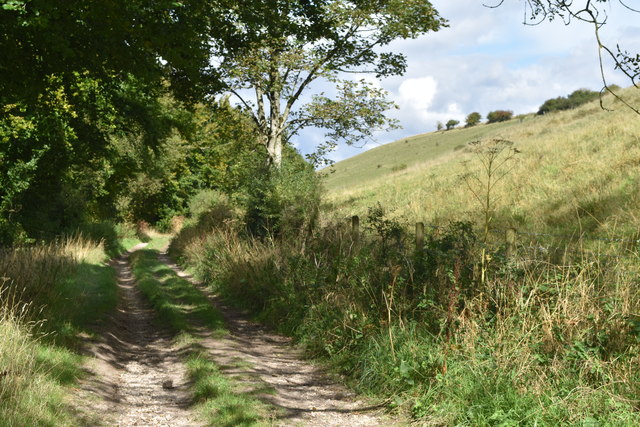 Track descending Church Bottom © David Martin :: Geograph Britain and ...