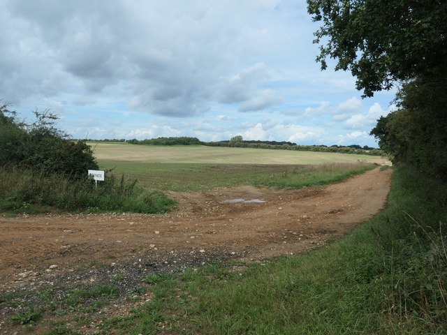 Private farm track heading north to Holgate Road