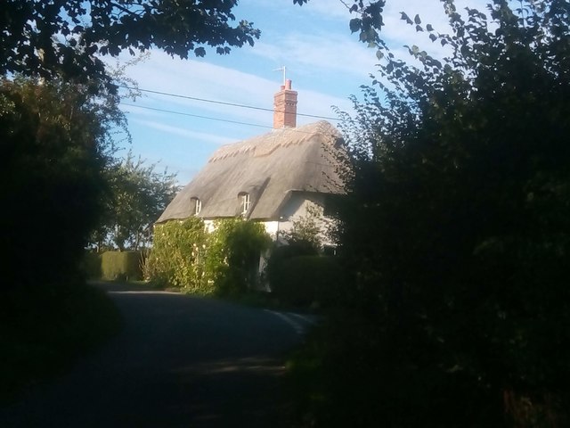 Looking north along Walnuts Lane, Pettistree