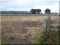 Field with bales near Cae-Garw