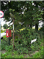 Post box and old finger post, Oxspring