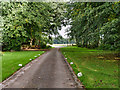 Driveway at Tatton Park