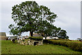 Bomackatall Lower Townland