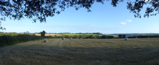 Panorama of a field at Bosveal Farm
