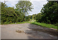 Bridleway off Holwell Lane