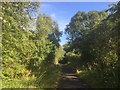 West Fife Cycleway, Bogside