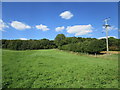 SP9897 : Grass field and woodland near Alders Farm by Jonathan Thacker