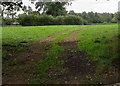 Twin tracks through a field south of Llanarth, Monmouthshire