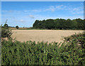 Stubble field near Ridgeway Farm