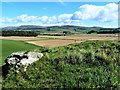 NS1749 : Auld Hill - Portencross, North Ayrshire by Raibeart MacAoidh