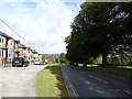 Leyburn Road, Middleham