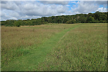 TL2171 : Path through a meadow area, Hinchingbrooke Country Park by Hugh Venables