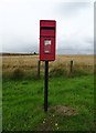 Elizabethan postbox, Clola