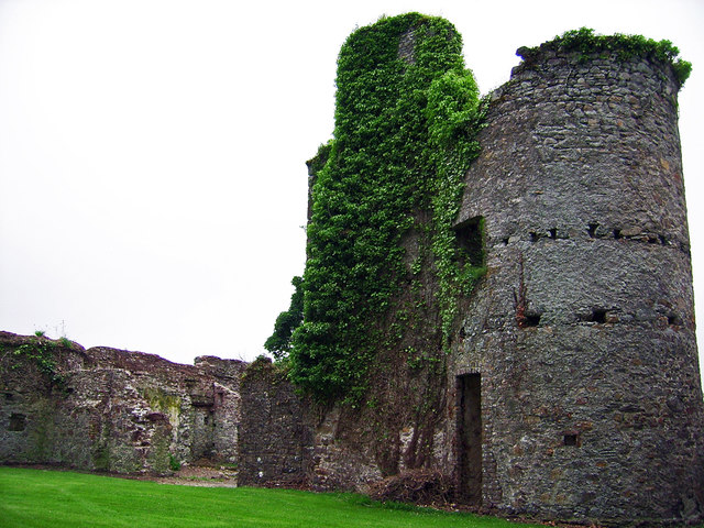 Castles of Leinster: Dunbrody, Wexford (2)