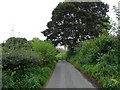 Minor road towards Coverham