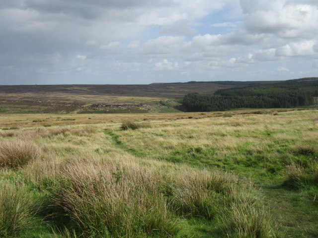 Wheeldale Moor