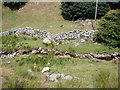 Afon Caletwr and a dry-stone wall