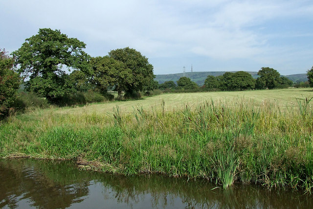 Canalside pasture by Bosley Locks in Cheshire