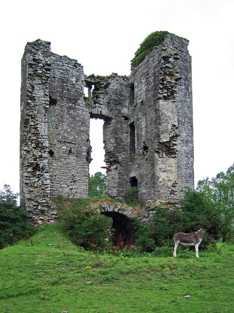 Castles of Leinster: Monktown, Meath (1)