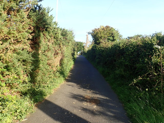 Forest access spur of Tullybrannigan Road