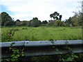 Narrow fields between housing and the River Severn in Shrewsbury at Ditherington