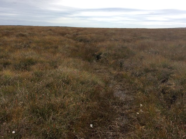 Small Gully on Open Moorland