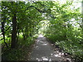 Footpath towards Haughmond Hill from Sundorne, Shrewsbury